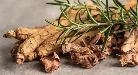Rhodiola Rosea